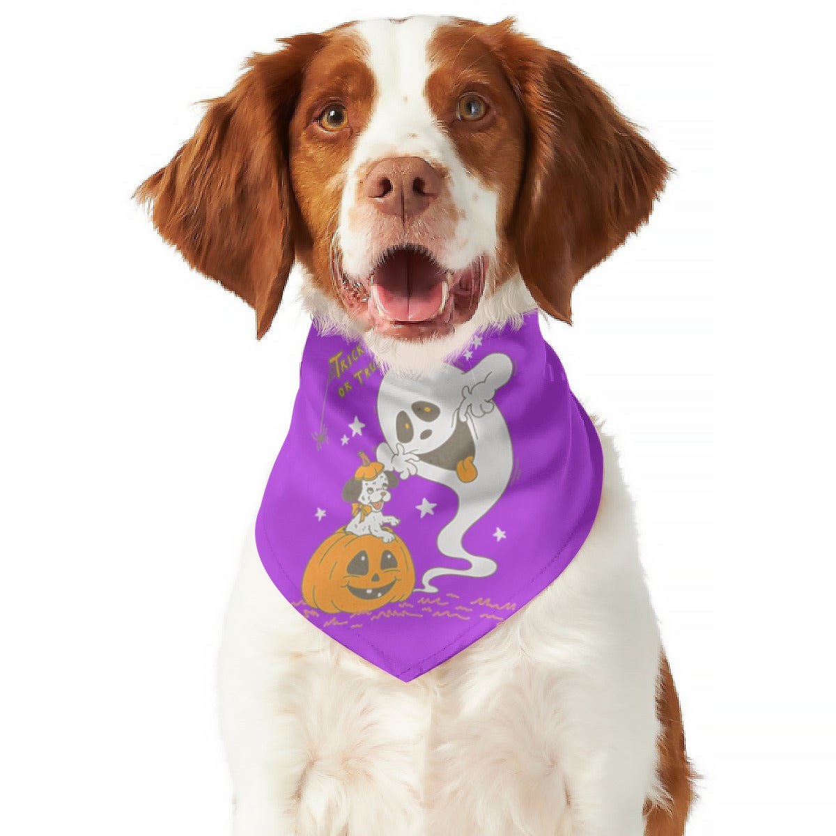 Trick or Treat Dog Scarf