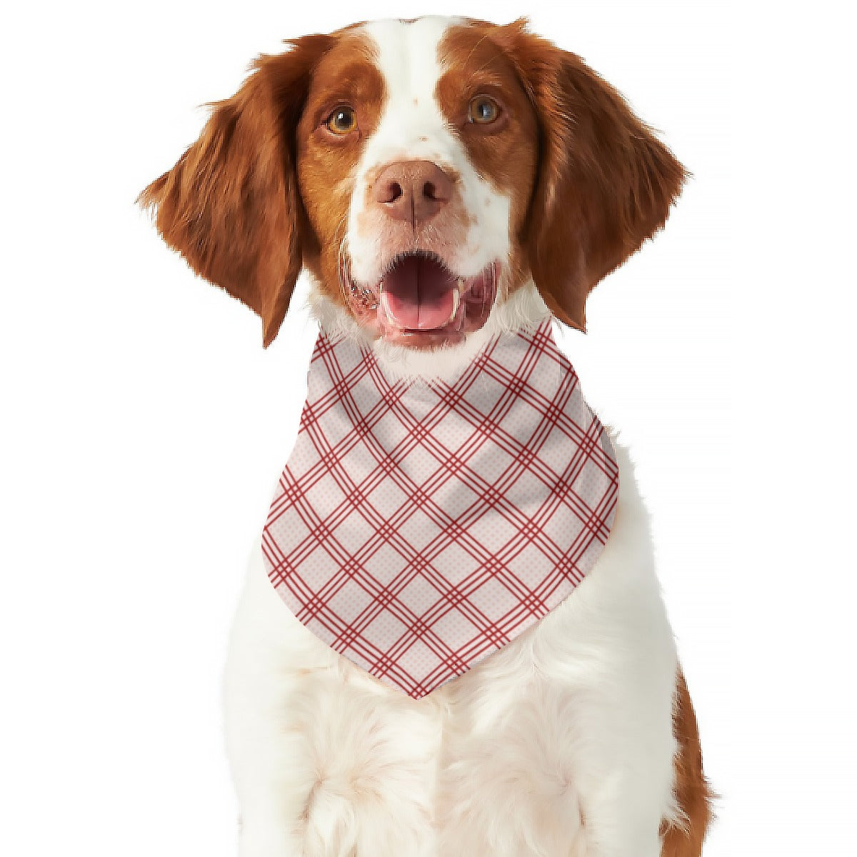 Red Diamonds Dog Scarf