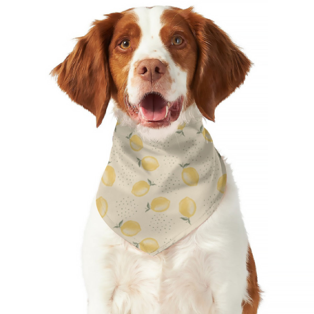 Lemon Dog Scarf