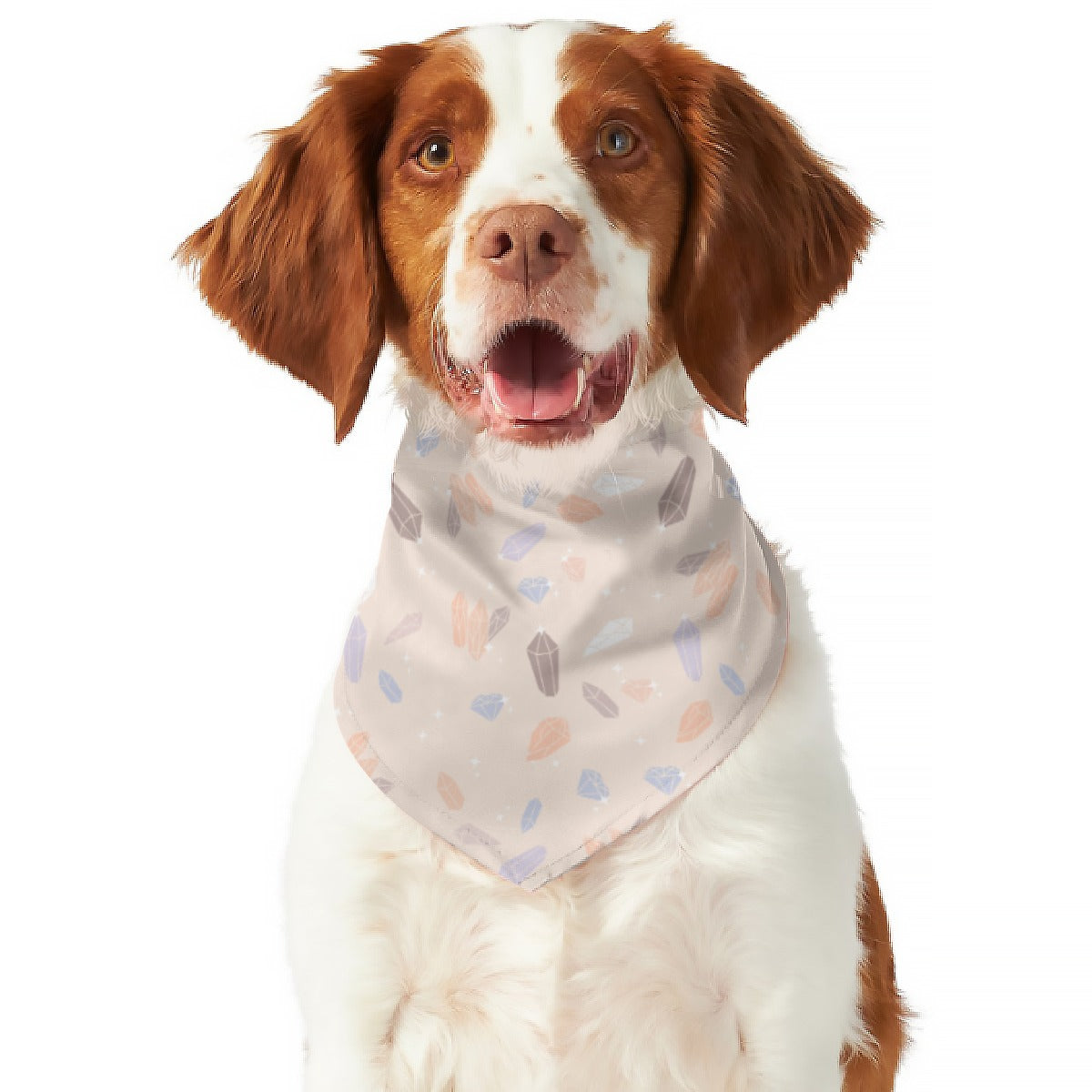 Crystal Dog Scarf