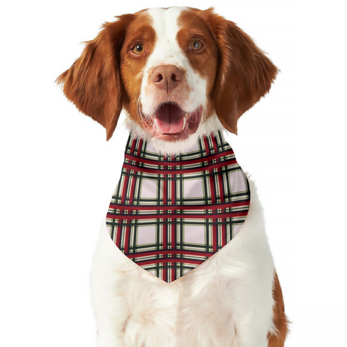 Checkered Pattern Dog Scarf