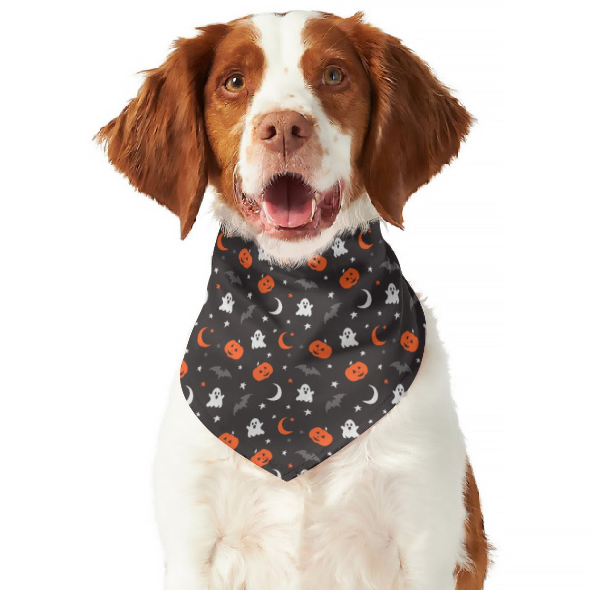 Spooky Dog Scarf