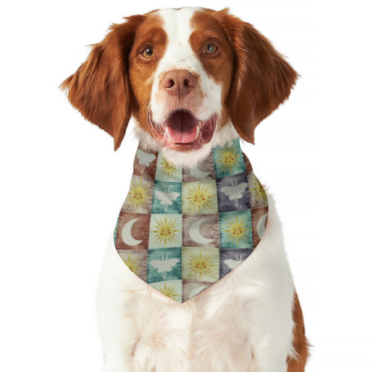 Mystical Butterflies Dog Scarf