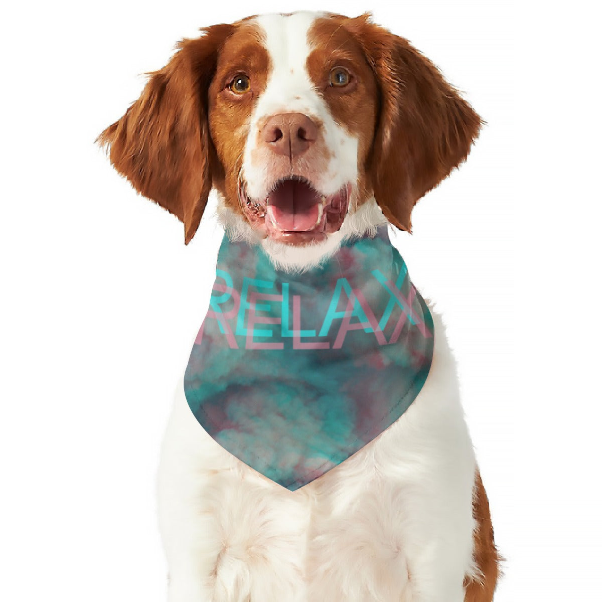 Relax Dog Scarf