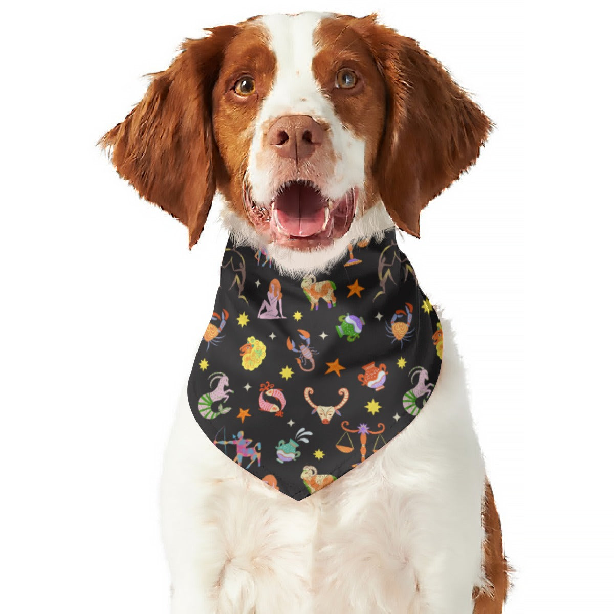 Zodiac Pattern Dog Scarf